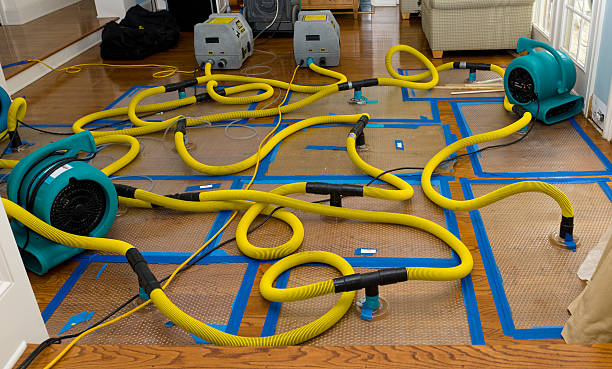 Professional Water Damage Repair technician working in Lockbourne, OH